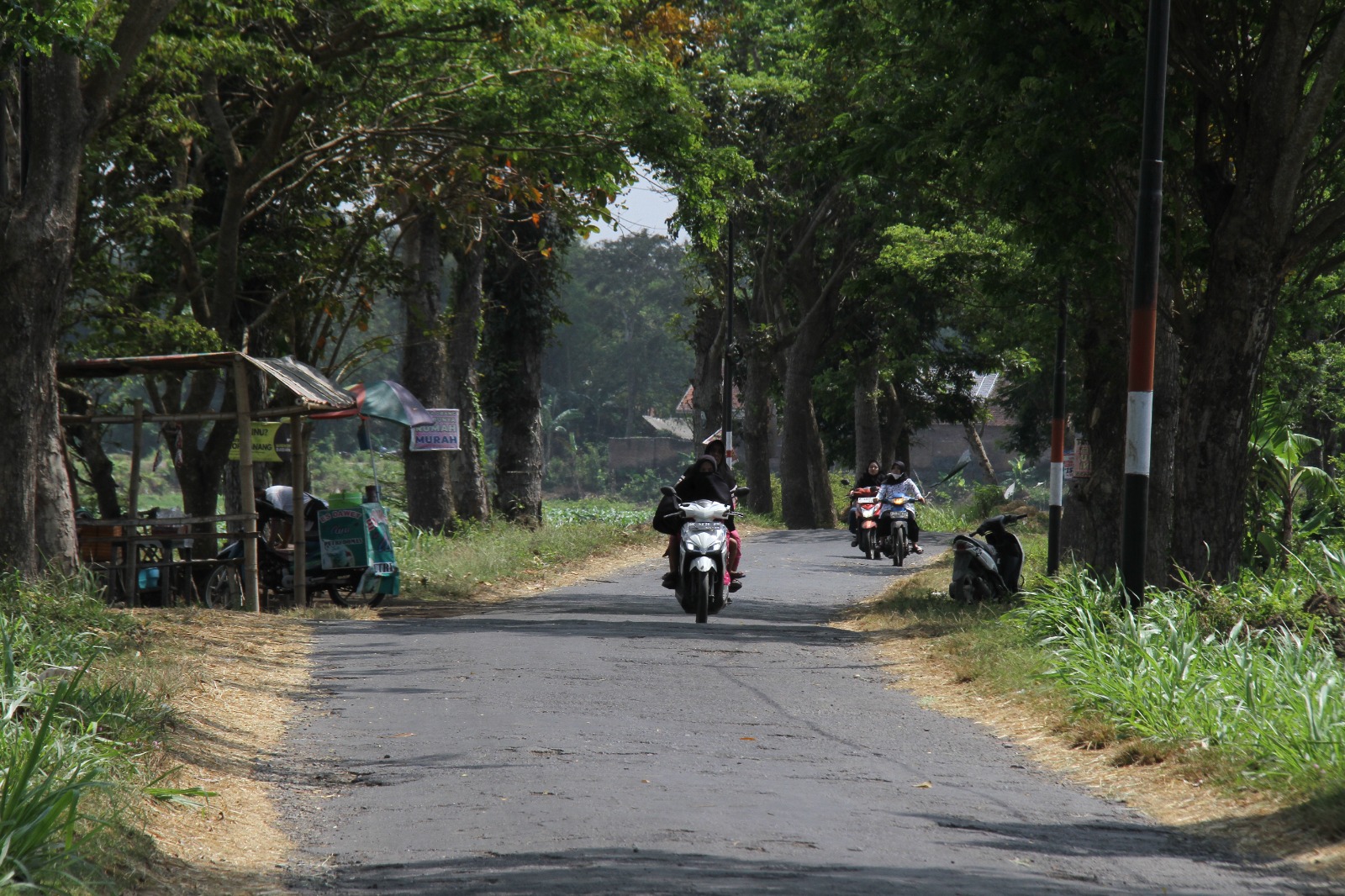 RAWAN: Jalan bulakan Jatisari, Dusun Krajan, Desa Wonorejo, Kecamatan Kencong sepi dan tidak ada PJU sehingga rawan begal saat malam.(JUMAI/RADAR JEMBER)