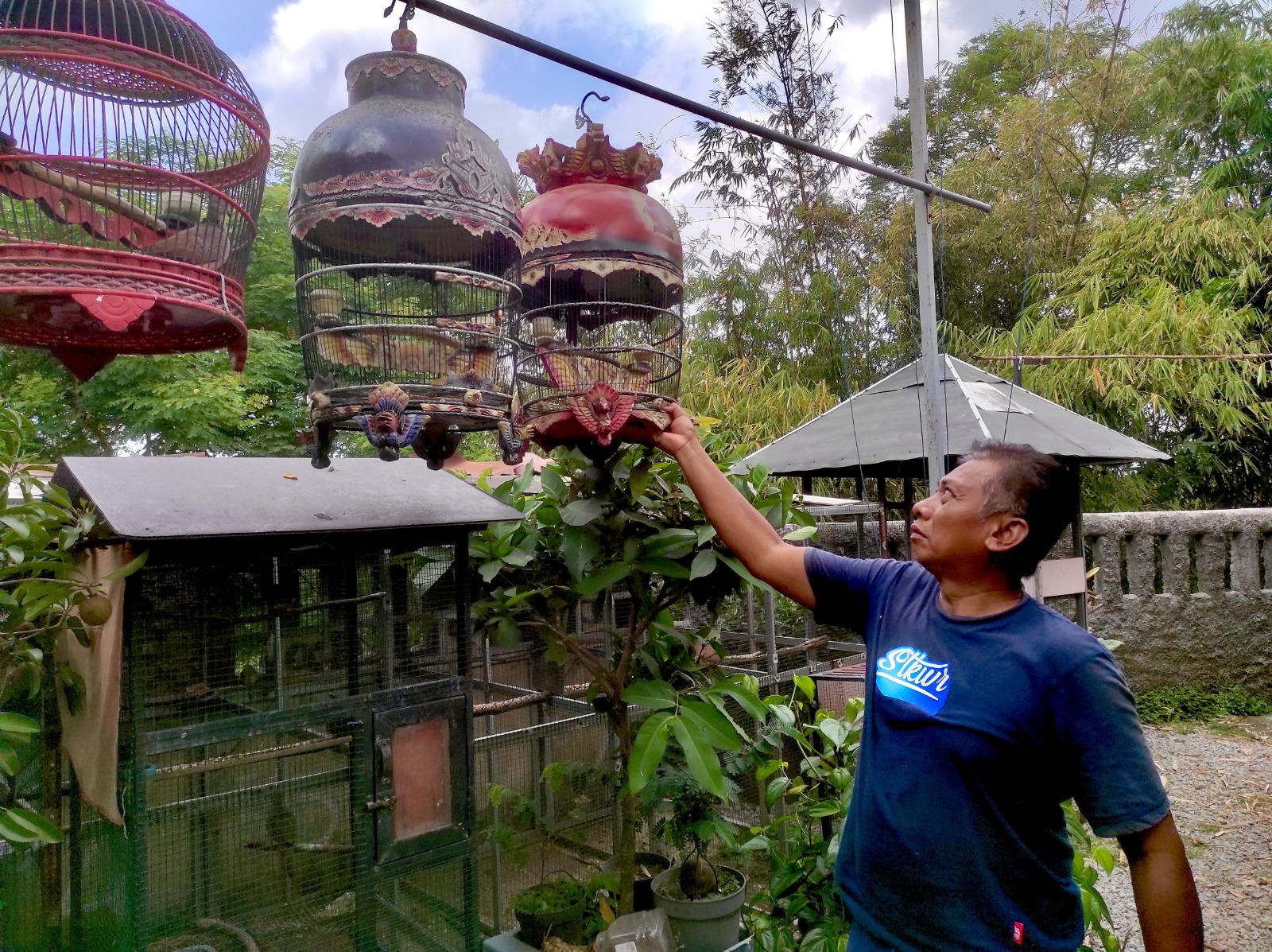 TELATEN: Mochammad Erfan memberi pakan burung perkutut di Desa Candijati, Kecamatan Arjasa, kemarin.(ILHAM WAHYUDI/RADAR JEMBER)