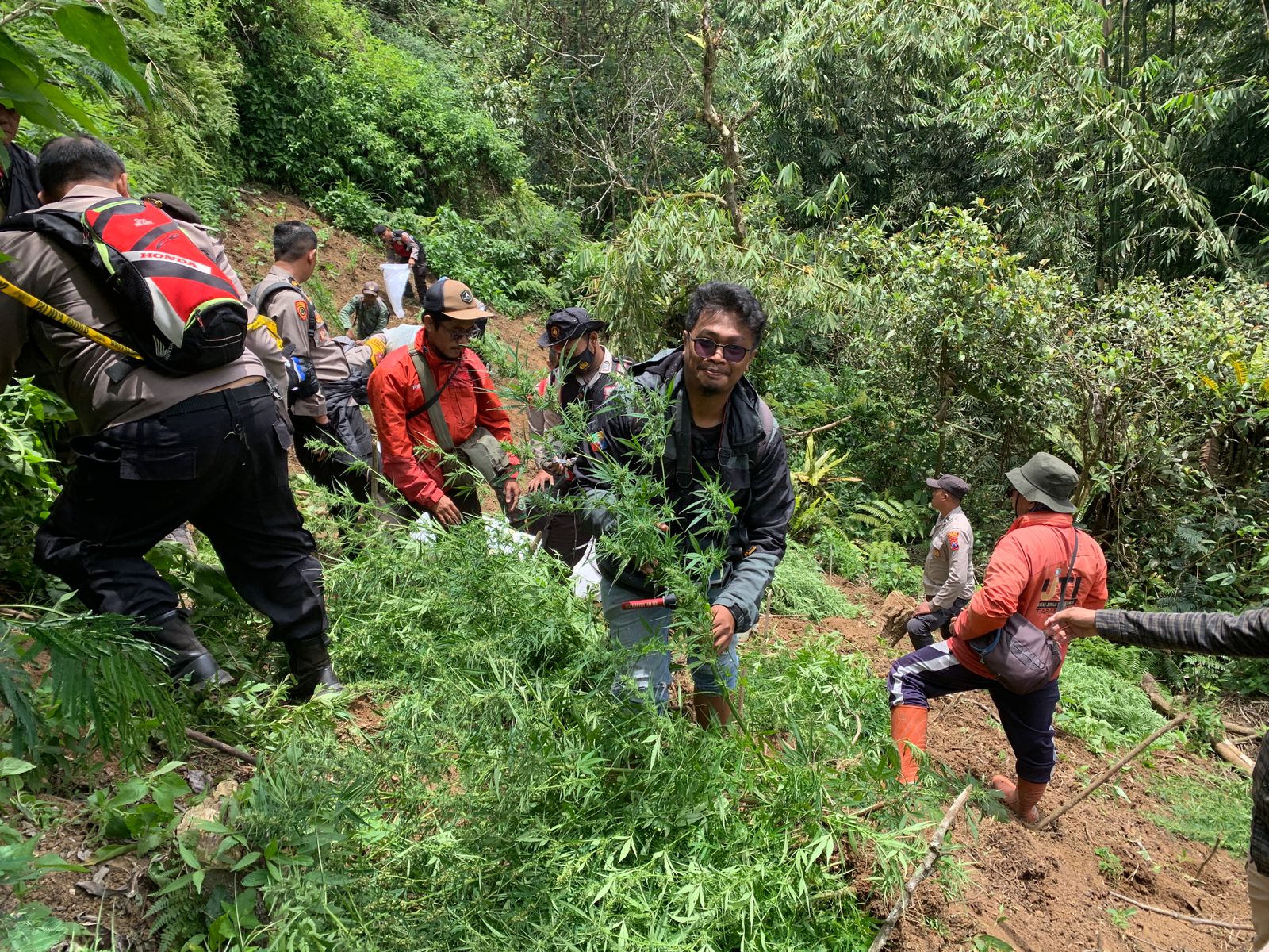 GREBEG: Petugas kepolisian saat melakukan penggrebekan lahan ganja di lereng Gunung Semeru, Rabu (18/9).