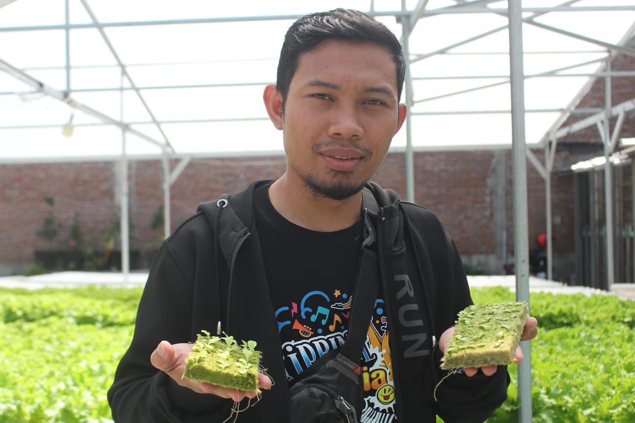 HIJAU: Yudha Gusthi Randa memeriksa tanaman-tanaman hidroponik di sebuah greenhouse miliknya. (HILMI/RJ)