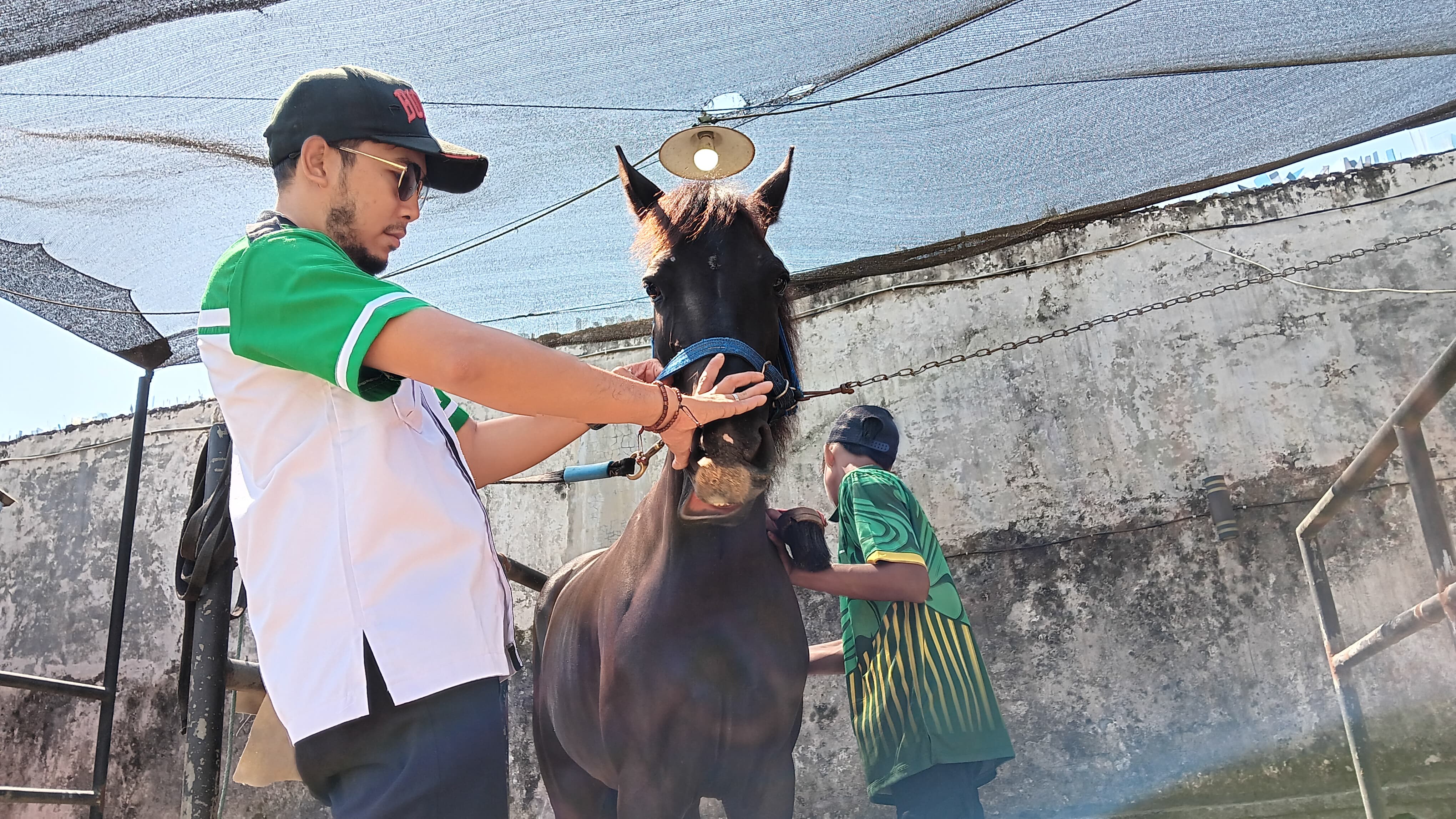 RAWAT KUDA : Atlet berkuda lakukan perawan kuda di lapangan Pacuan Kuda Jember Riding Club (JRC), Desa Wirowongso, Kecamatan Ajung.(M ADHI SURYA/RADAR JEMBER)