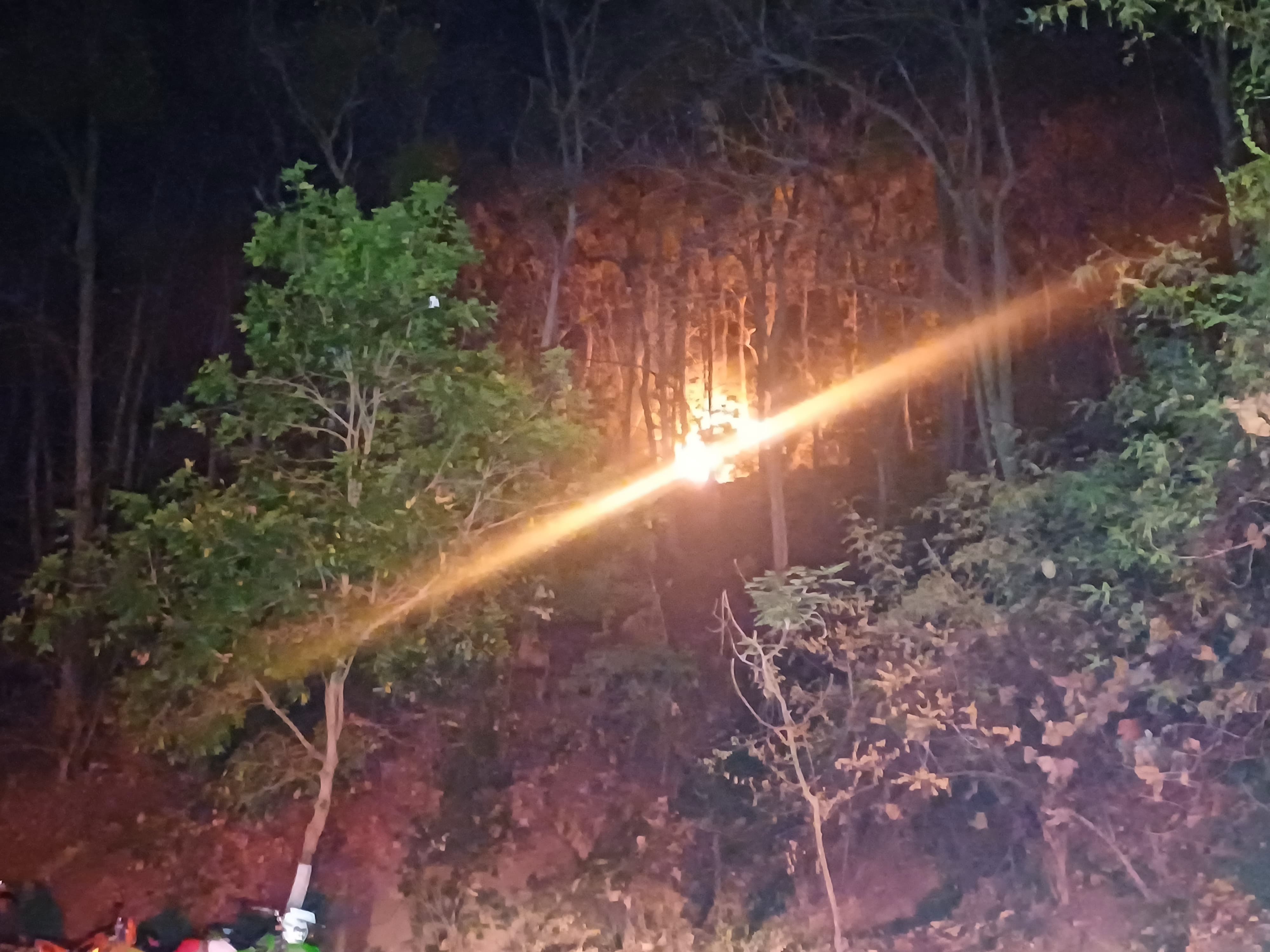 MEMERAH: Tampak titik lokasi kebakaran berada di tengah hutan Arak-arak