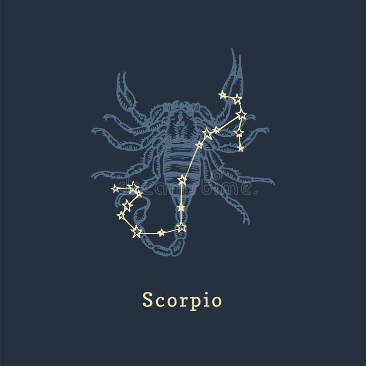 Foto: Logo Zodiak Scorpio dan Libra  Sumber: Radar Malioboro, Pinterest (Behance)