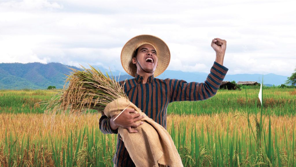 Foto: Petani Sedang Memanen Padi Di Ladang  Sumber: website Saprotan Utama