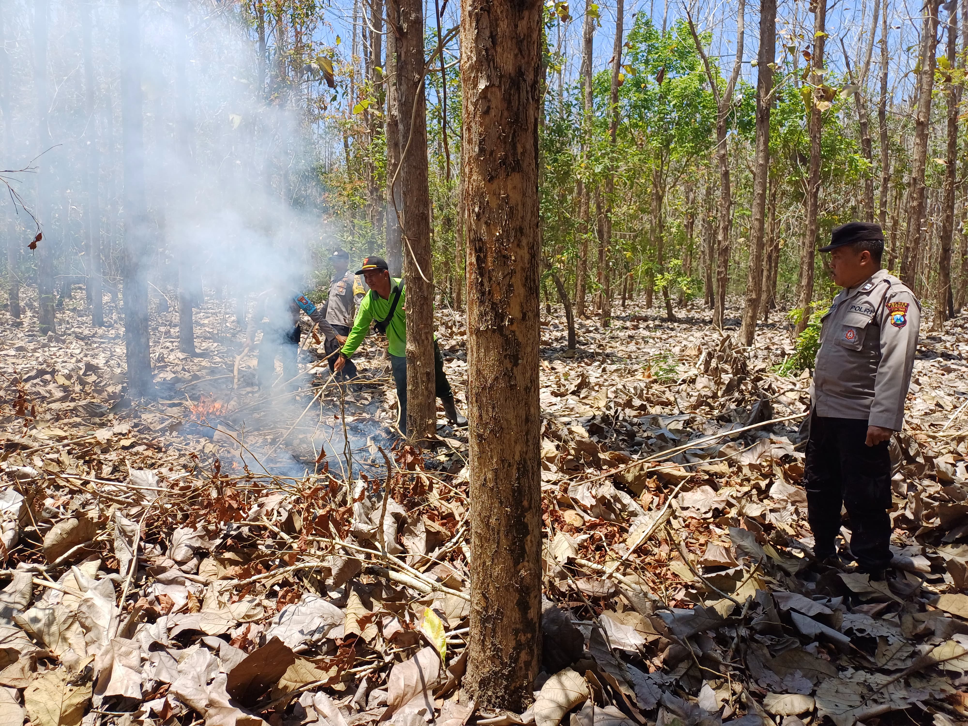UPAYA PADAMKAN BERSAMA: Personil Perhutani bersama Polsek Wuluhan saat melakukan pemadaman lahan hutan milik Perhutani pada Selasa (8/10) pagi.