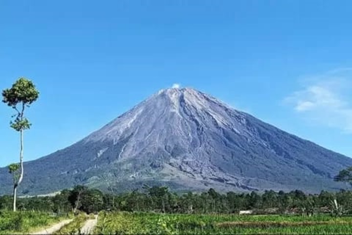 Foto: Puncak Gunung Lemongan di Kabupaten Lumajang, Jawa Timur (Sumber: fnksda.or.id)