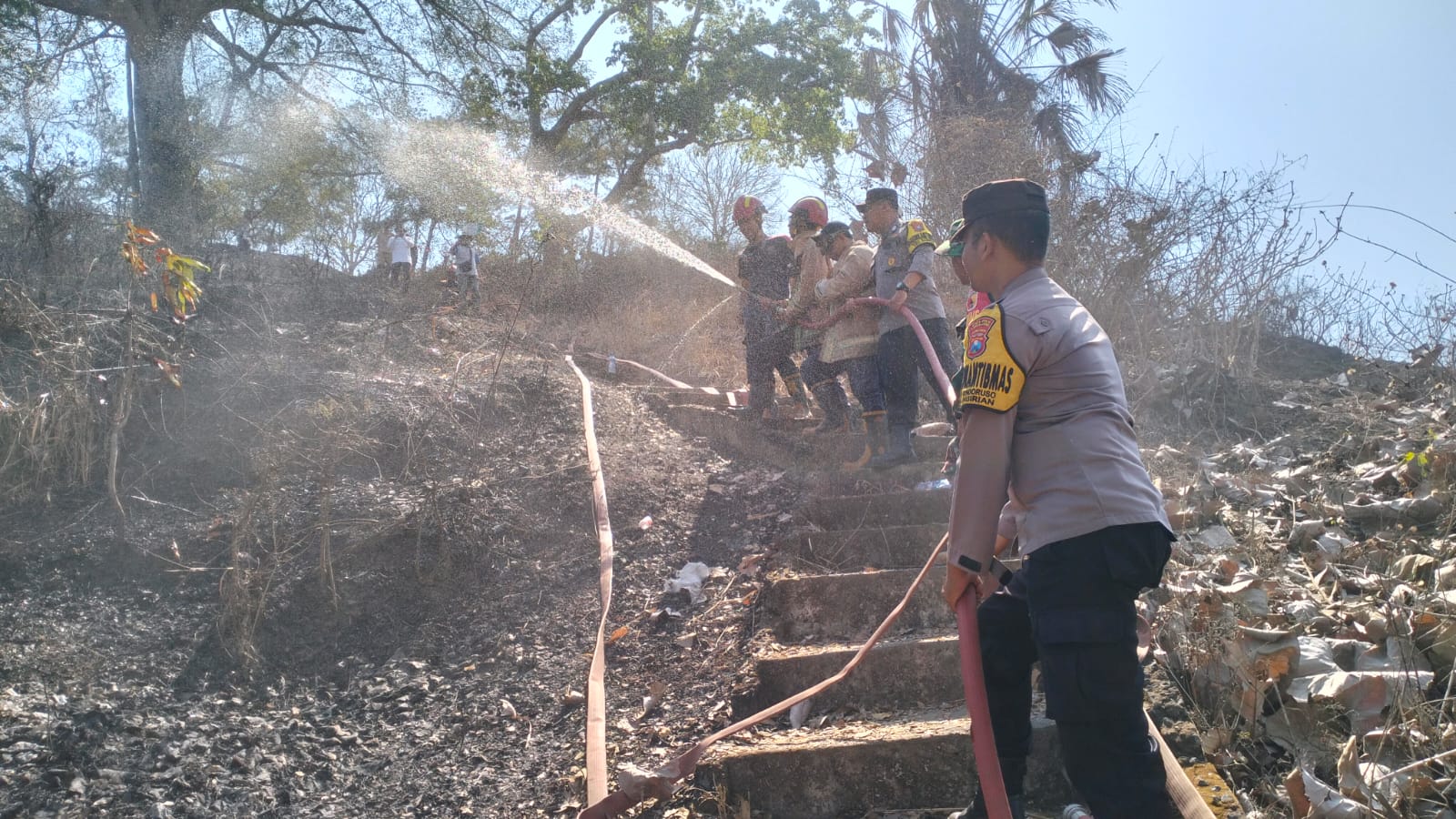 PADAMKAN: Sejumlah polisi bersama warga saat berusaha memadamkan api yang membakar 1,5 hektare hutan jati. (POLSEK PASIRIAN FOR RAME)