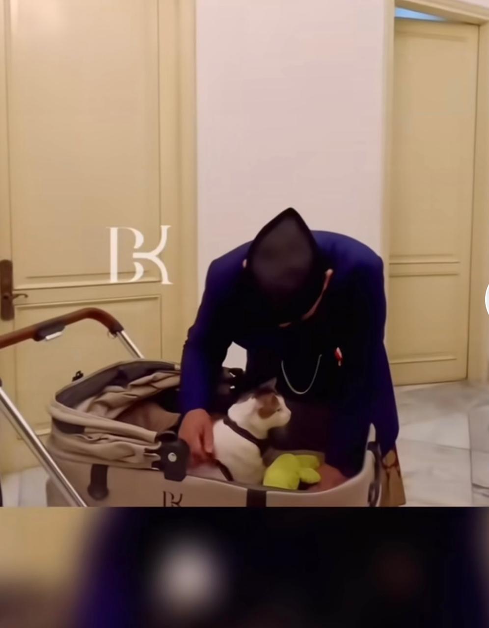 Momen saat Prabowo memboyong kucing kesayangannya ke Istana Negara.