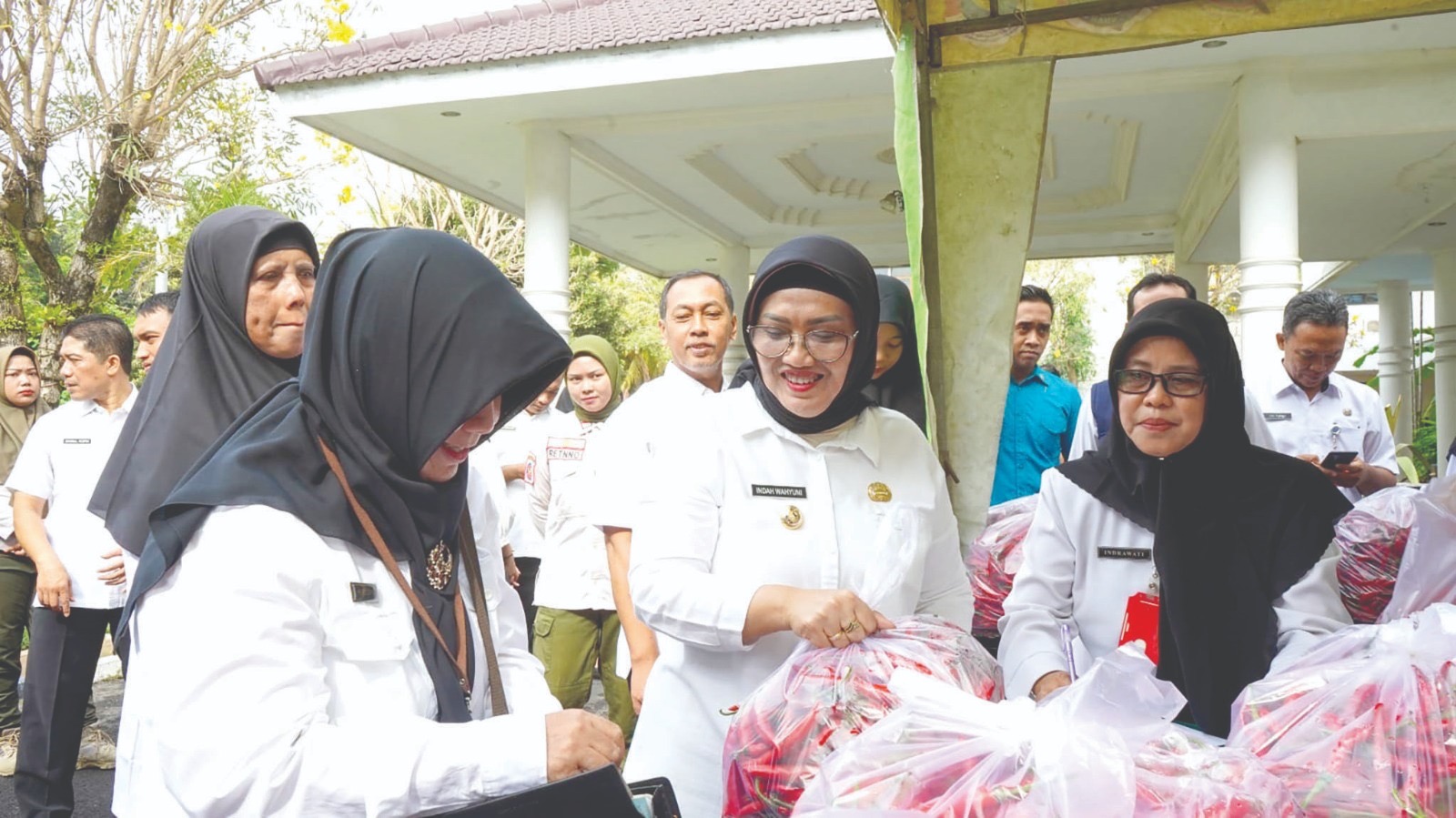 BORONG: Pemkab Lumajang memborong cabai merah besar dari petani, Rabu (30/10) kemarin. (MUHAMMAD HASBI/RAME)