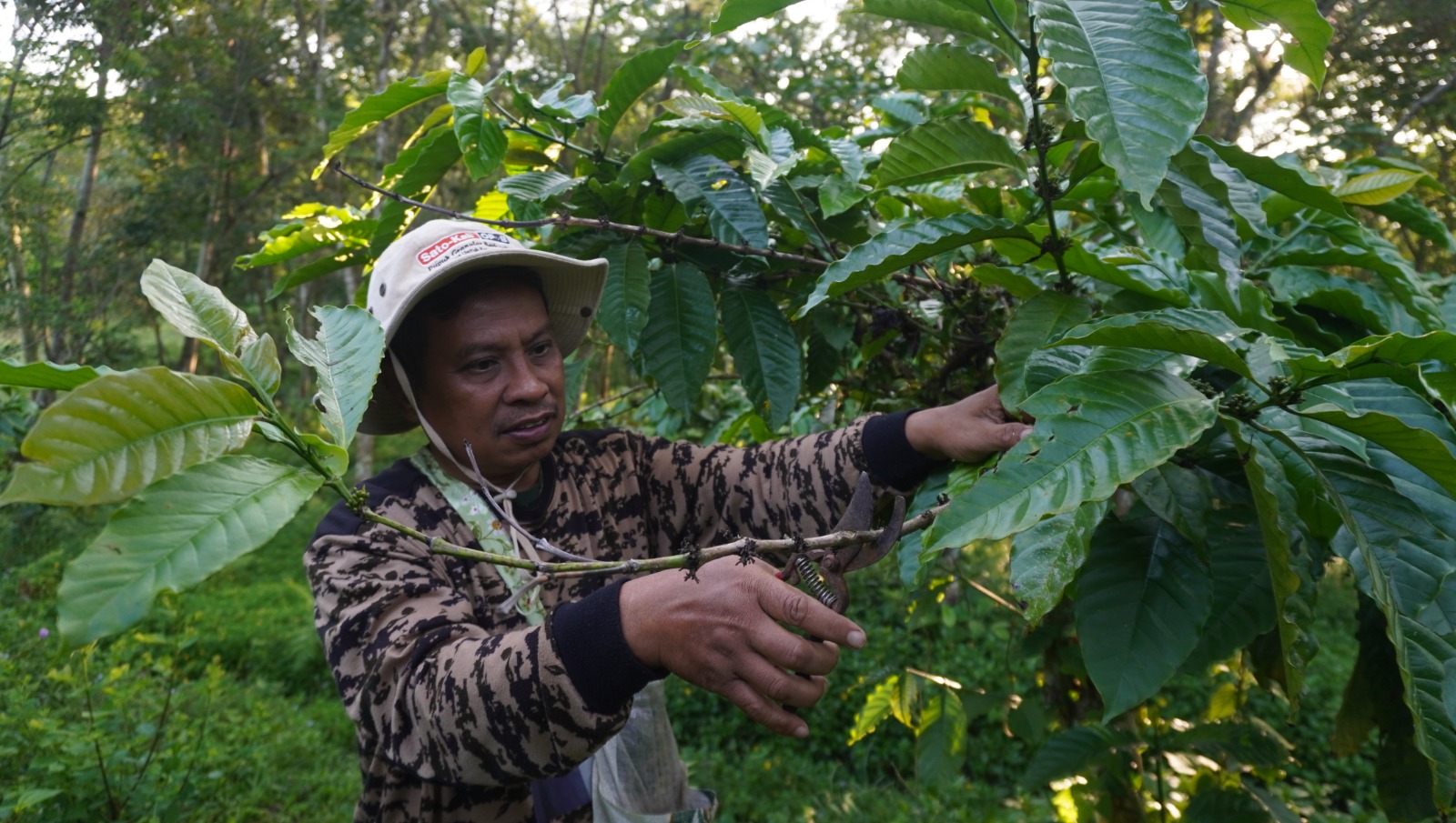 DUKUNG KOPI JEMBER: Sejumlah perempuan melihat kopi yang dipromikan, di sela-sela acara yang diselenggaran KPwBI Jember beberapa waktu lalu.(YULIO FA/RADAR JEMBER)