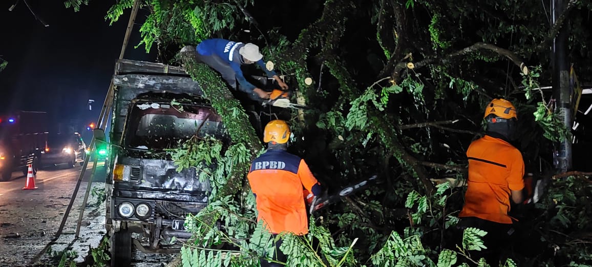 TERTIMPA: Sebuah truk Disel N 9862 YA yang sedang parkir di Jalan Hos Cokroaminoto, Kecamatan Tanggul, Jember tertimpa pohon trembesi. (JUMAI/RJ)