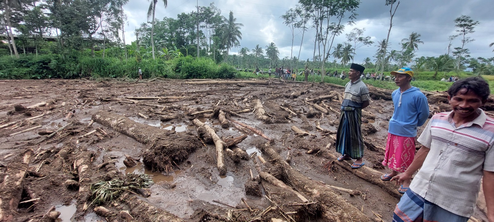 KAYU HUTAN BERSERAKAN: Lahan pertanian di Desa Jambearum, Kecamatan Sumberjambe, tertutup dengan hamparan kayu hutan berukuran besar sejak Senin (23/12) hingga kemarin. (JUMAI/RJ)