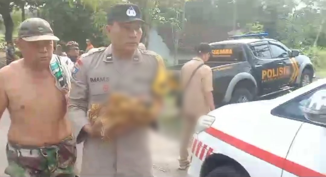 Anggota Polsek Jelbuk bersama nakes Puskesmas Jelbuk saat mengevakuasi bayi laki-laki yang ditemukan di semak berduri belakang bangunan KUD Jelbuk