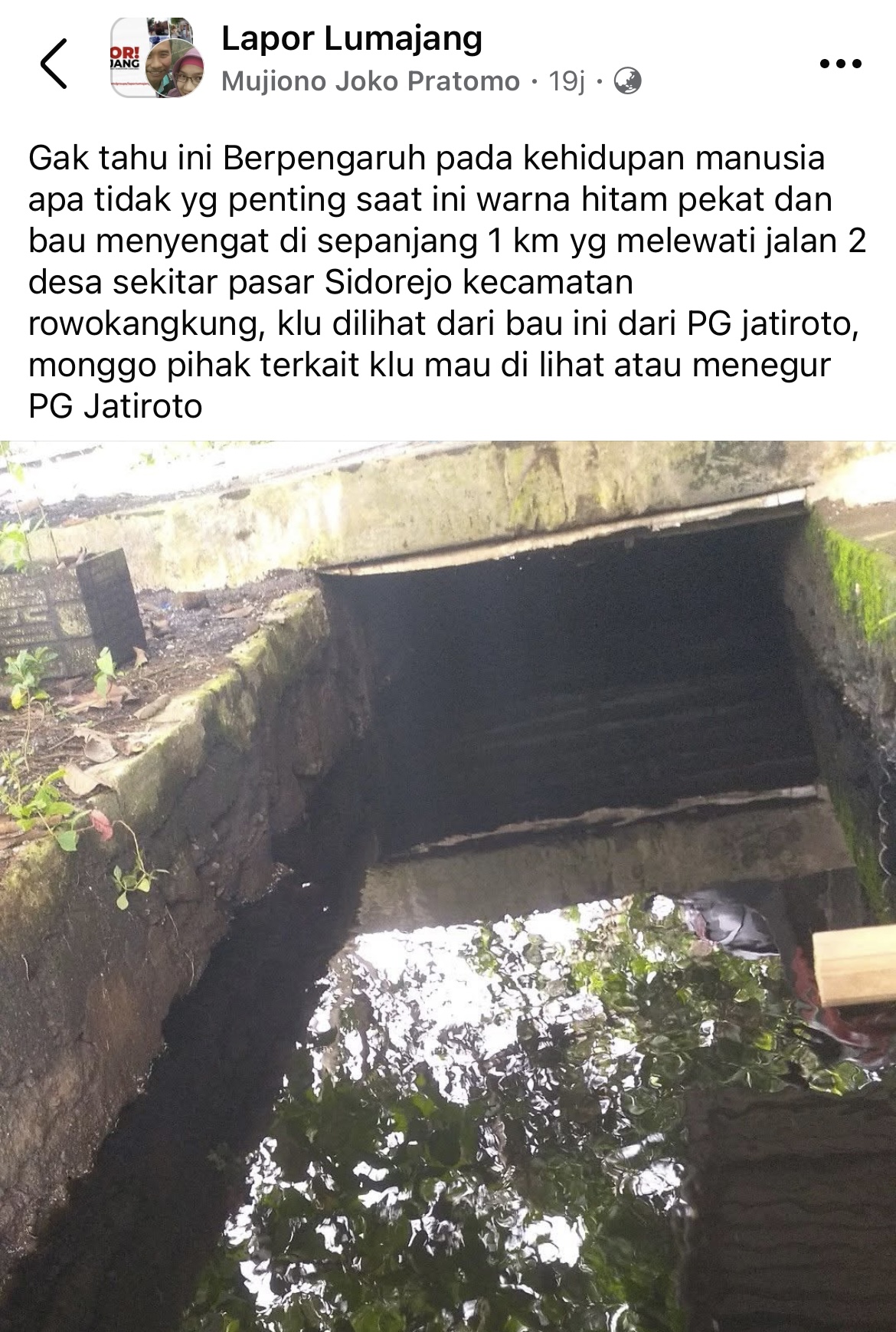 Kondisi sungai yang menghitam di Sidorejo, Rowokangkung, Lumajang.