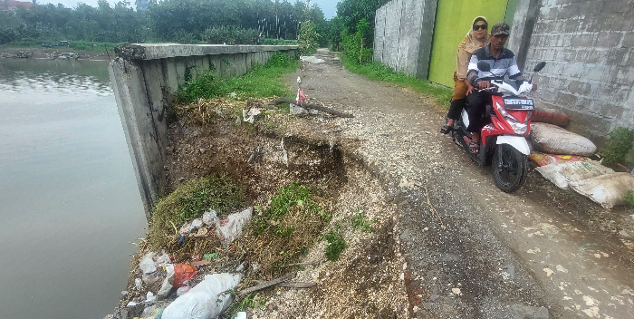 AMBROL LAGI: Jalan di Dusun Sulakdoro, Desa Lojejer, Kecamatan Wuluhan, ambrol lagi, karena Sungai Bedadung beberapa kali banjir. JUMAI/RADAR JEMBER