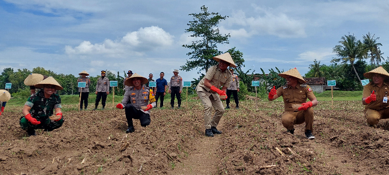 BERSEMANGAT: Dari kiri, Dandim Jember, Kapolres Jember, Ketua DPRD Jember, dan Kades Lojejer Mohamad Soleh menanam jagung secara simbolis di lahan seluas dua hektare, kemarin (21/1). JUMAI/RADAR JEMBE
