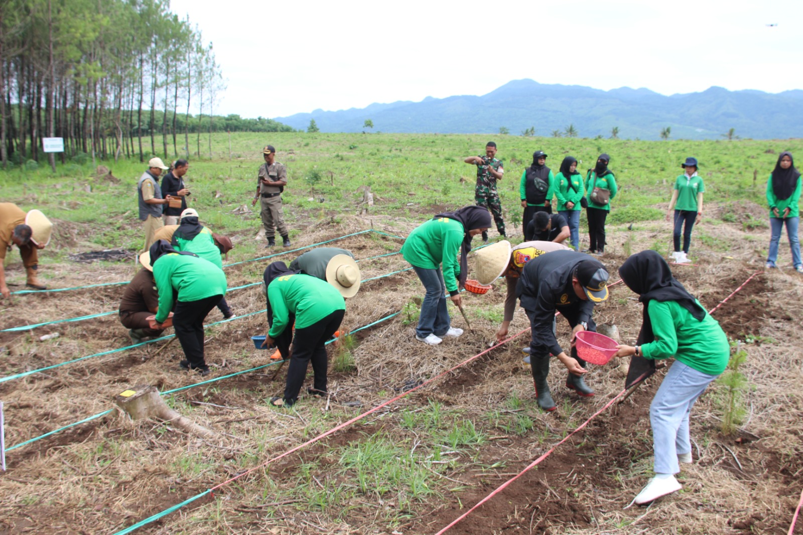 MENANAM: Sejumlah pihak saat melakukan giat tanam jagung di kawasan lahan perhutani Bondowoso.