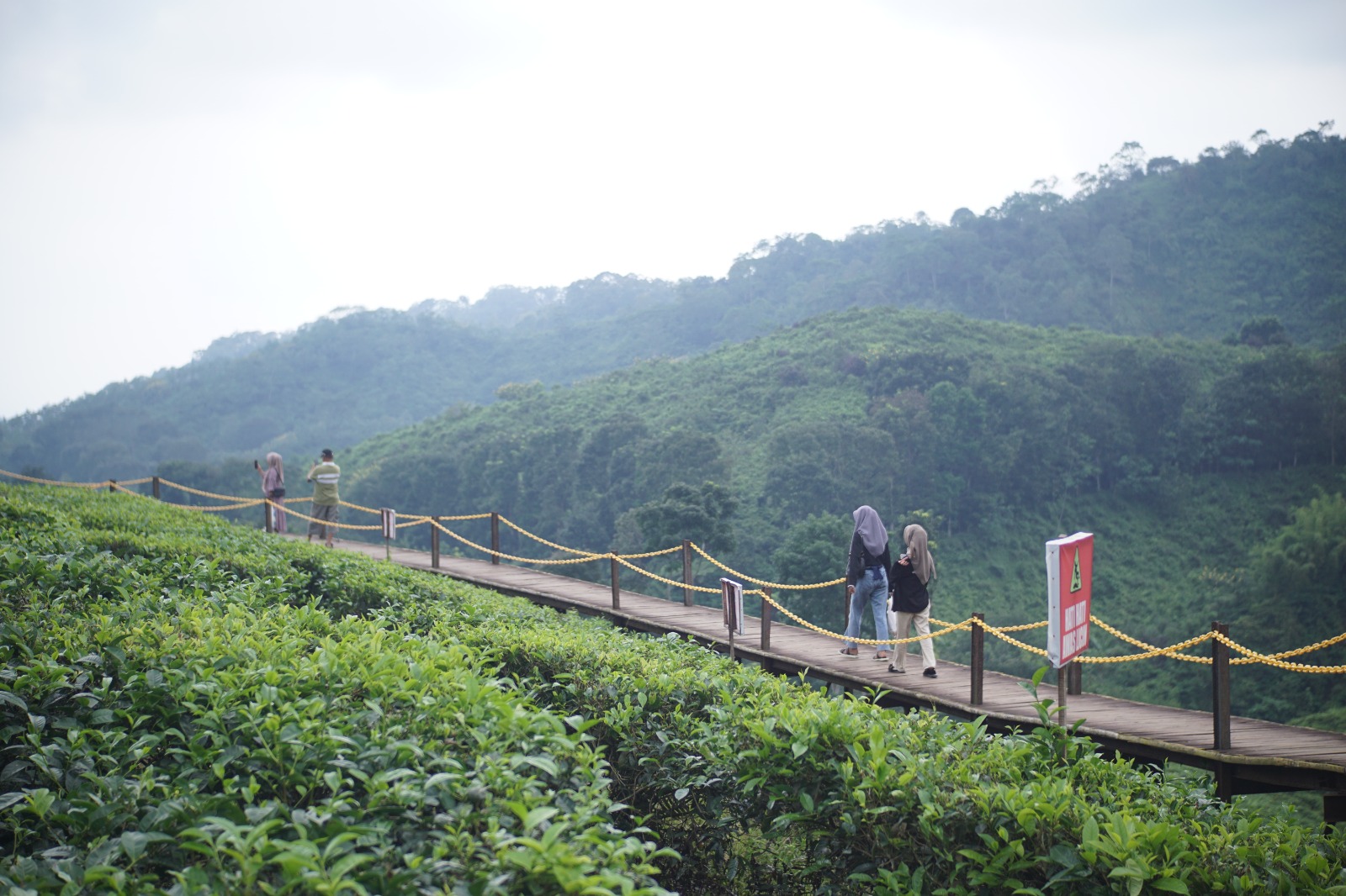 IKONIK: Sejumlah pengunjung menikmati keindahan Kebun Teh Gunung Gambir di Kecamatan Sumberbaru.