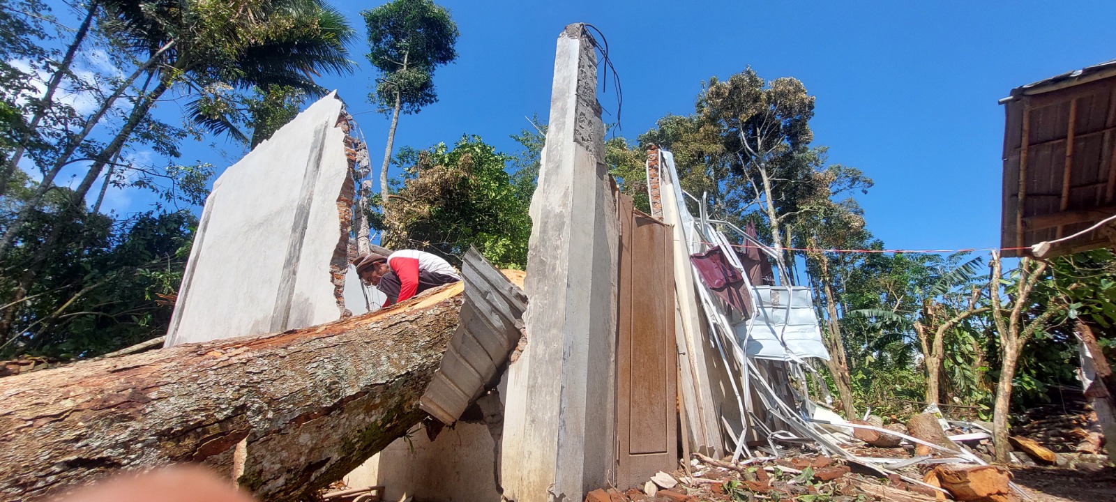 RATA DENGAN TANAH: Kondisi TPQ yang tertimpa pohon durian berukuran besar, kemarin. Beruntung tak ada korban jiwa dalam peristiwa tersebut. (JUMAI/RJ)