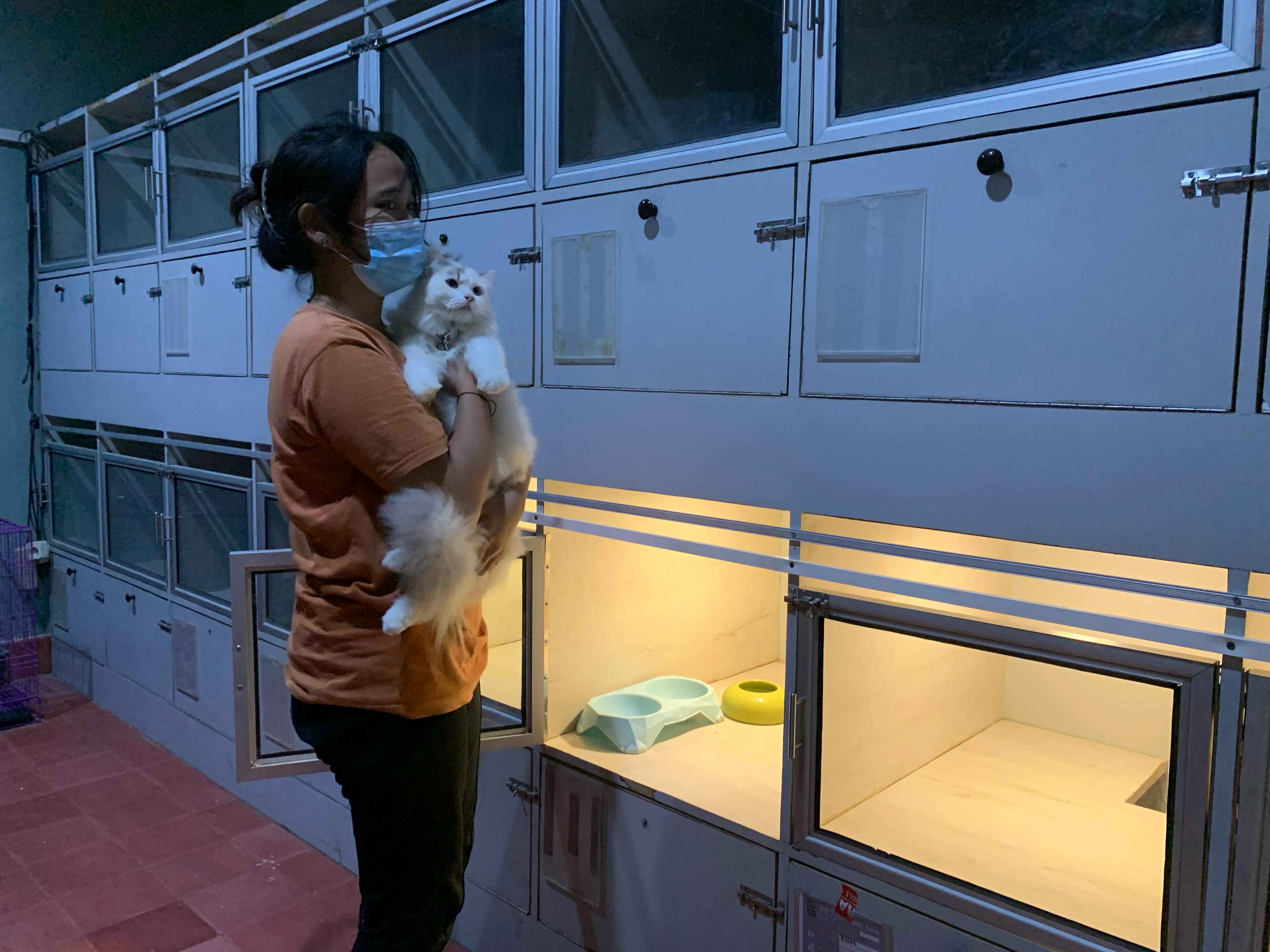 JADI REKOMENDASI: Jasa penitipan anabul saat momen mudik Lebaran menjadi salah satu opsi bagi pemilik kucing menitipkan hewan kesayangannya ketika ditinggal mudik.