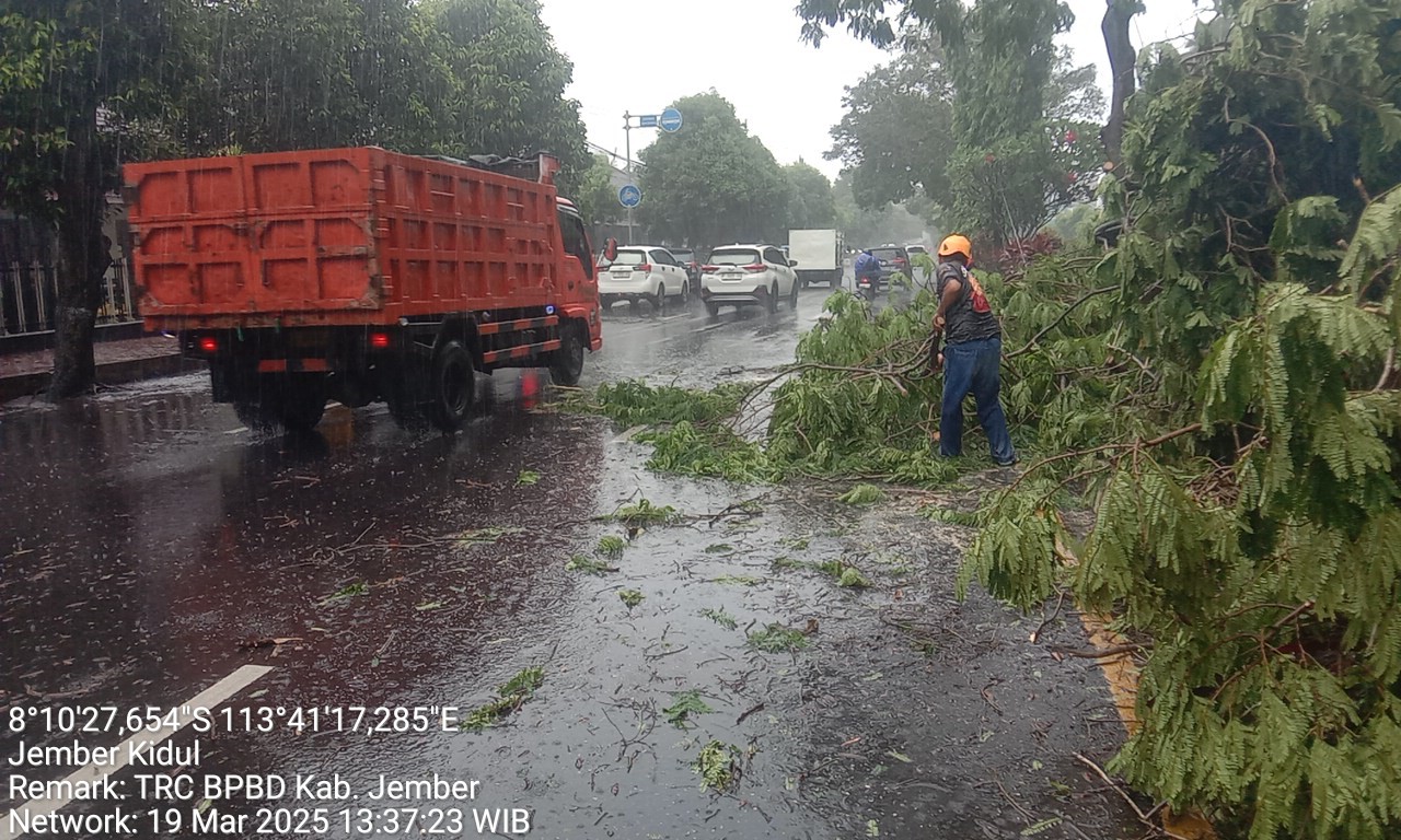 DITERJANG HUJAN DAN ANGIN: Sejumlah titik yang terdampak bencana hujan deras disertai angin kencang di Jember, Rabu siang (19/3).