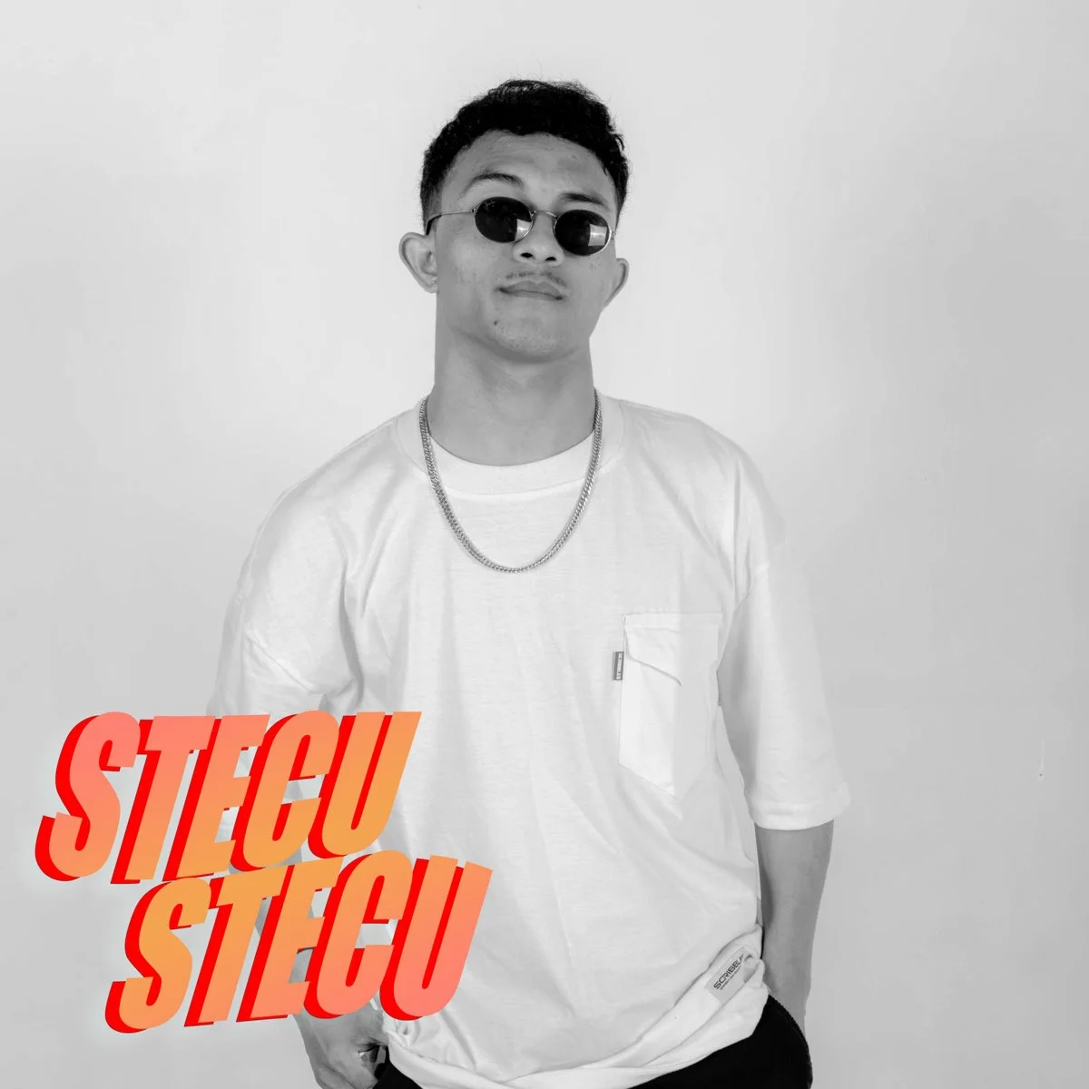 Stecu Stecu
