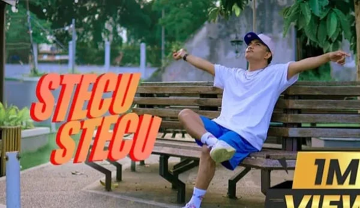 Stecu Stecu