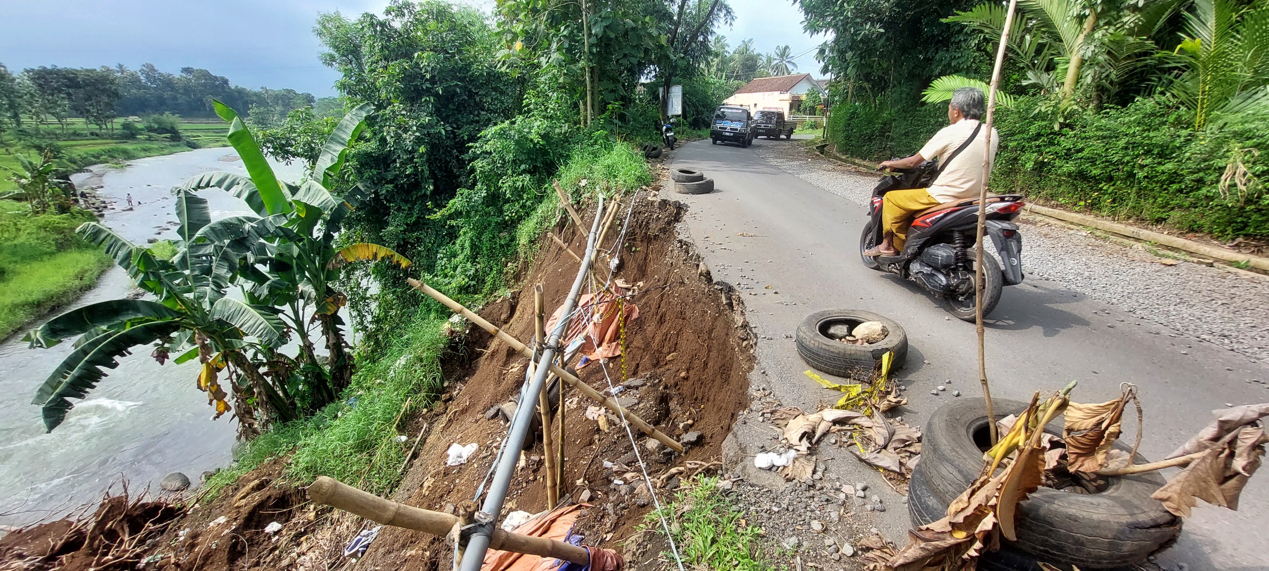 TERANCAM PUTUS: Jalan penghubung Desa Glagahwero dengan Desa Kemuning Lor, Kecamatan Panti, terancam putus karena ambrol akibat pohon roboh setelah tergerus banjir.