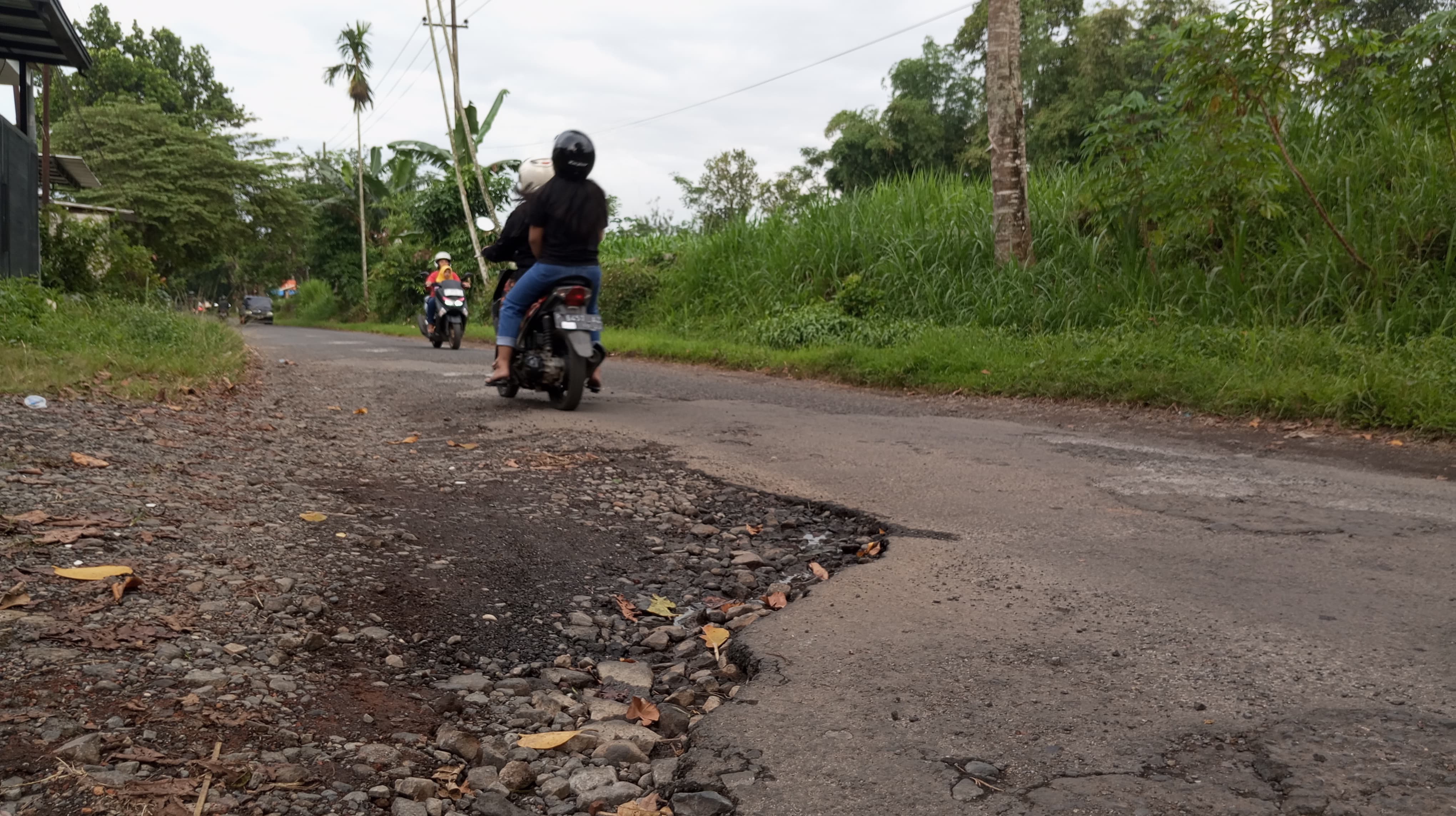 BANYAK LUBANG: Kondisi Jl Letnan Rantam di Kelurahan Curahdami, Kecamatan Curahdami yang kondisinya kini penuh lubang dan membahayakan para pengendara.