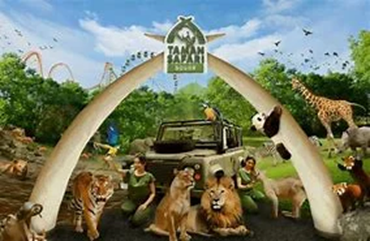 Sering Dianggap Sama, Taman Safari Tegaskan Bukan Bagian Dari Oriental Circus Indonesia