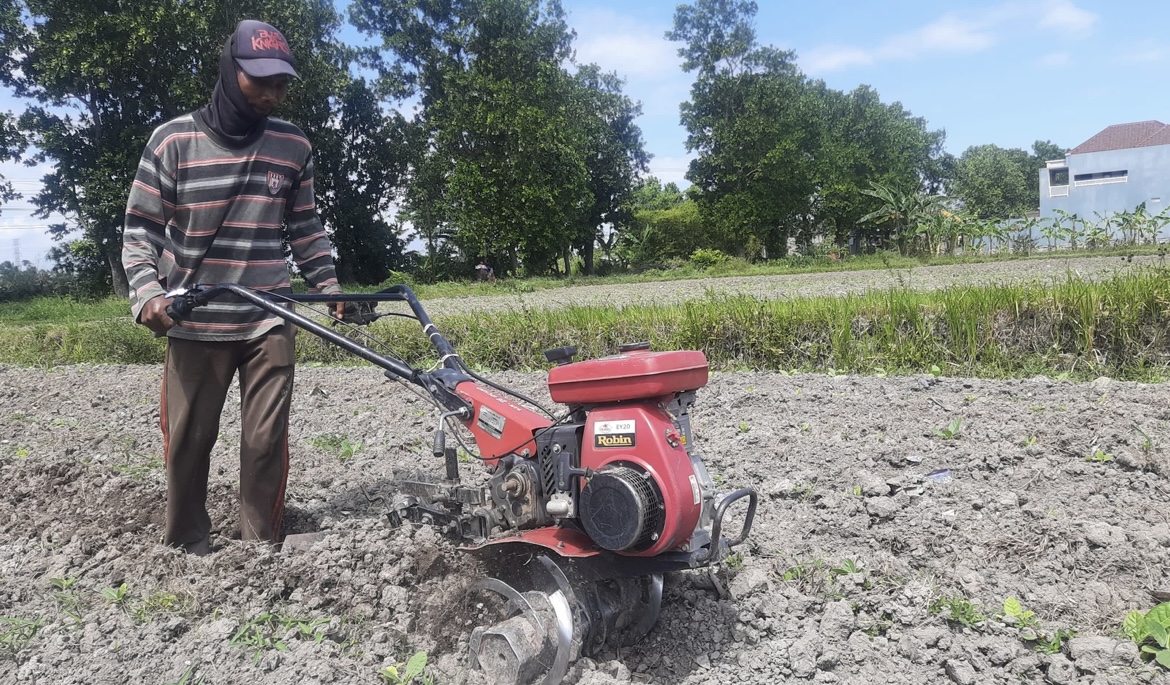 PROSES MENANAM: Petani tembakau asal Desa Koncer Kidul Kecamatan Tenggarang saat merawat bibit tembakau miliknya. (FAQIH HUMAINI/RADAR IJEN)