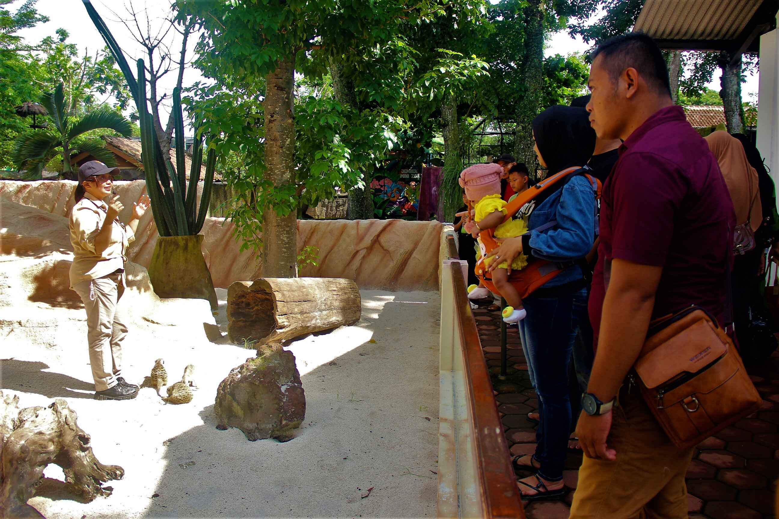 Jember Mini Zoo