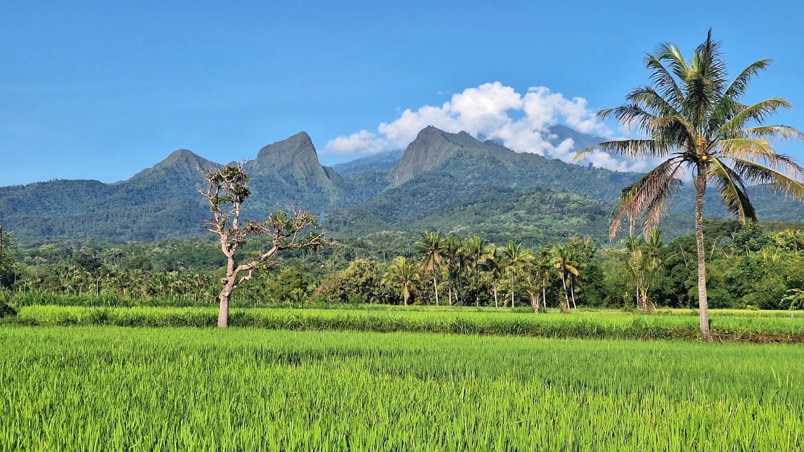 MEMBENTANG LUAS: Gunung Saeng (kanan) Gunung Piramid (tengah) dan Gunung Gul-gulan (kiri) dilihat dari Desa/Kecamatan Binakal.