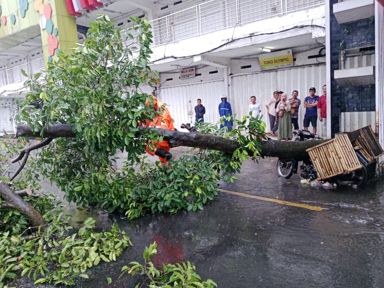 BERUNTUNG TAK ADA ORANG: Pohon cukup besar menimpa sepeda motor di kawasan Pasar Tanjung.