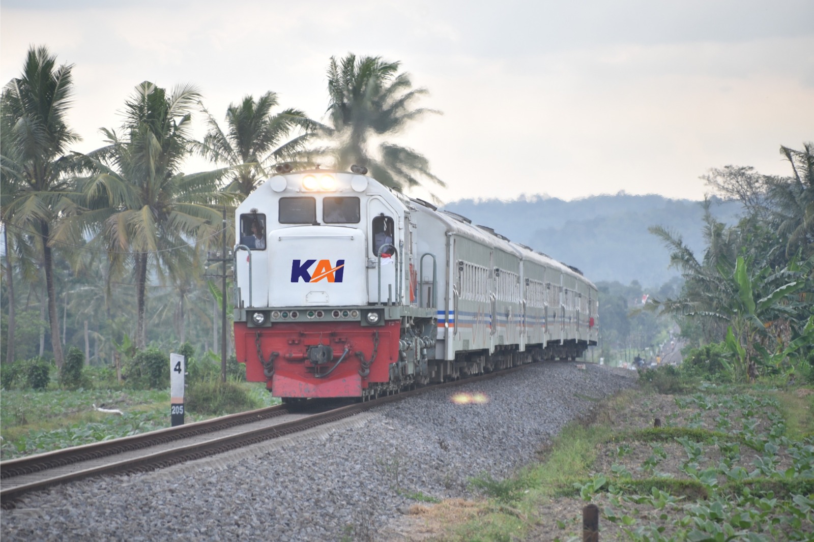 KA Pandanwangi dengan latar belakang perkebunan dan pegunungan (Ilustrasi Dok: Ambang dari Komunitas RF KRD9 Jember)