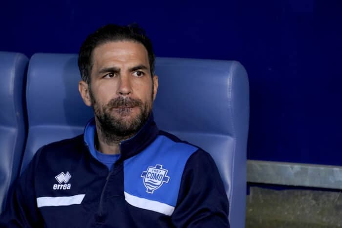 Cesc Fabregas 