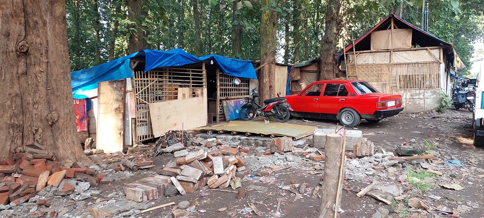 PINDAH KE LAHAN PERHUTANI: Setelah diberi batas waktu pembongkaran warung di jalan Airlangga, Desa/Kecamatan Rambipuji, para pemiliknya justru ada yang mendirikan warung di lahan Perhutani. (JUMAI/RJ)