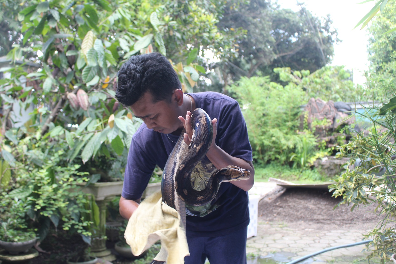 RUTINITAS: Ricky saat memandikan ular piton kesayangannya. (FAQIH/RJ)