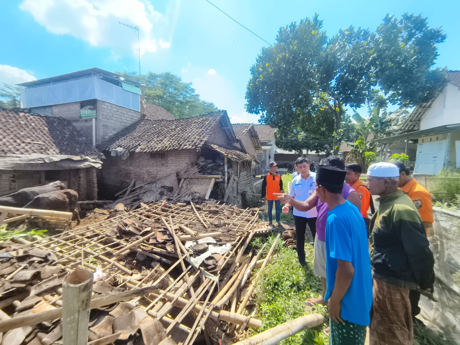 RATA DENGAN TANAH: Pegawai BPBD Jember meninjau rumah ambruk akibat angin kencang di Desa Baletbaru, Kecamatan Sukowono, Rabu (4/6/2025). (BPBD JEMBER)