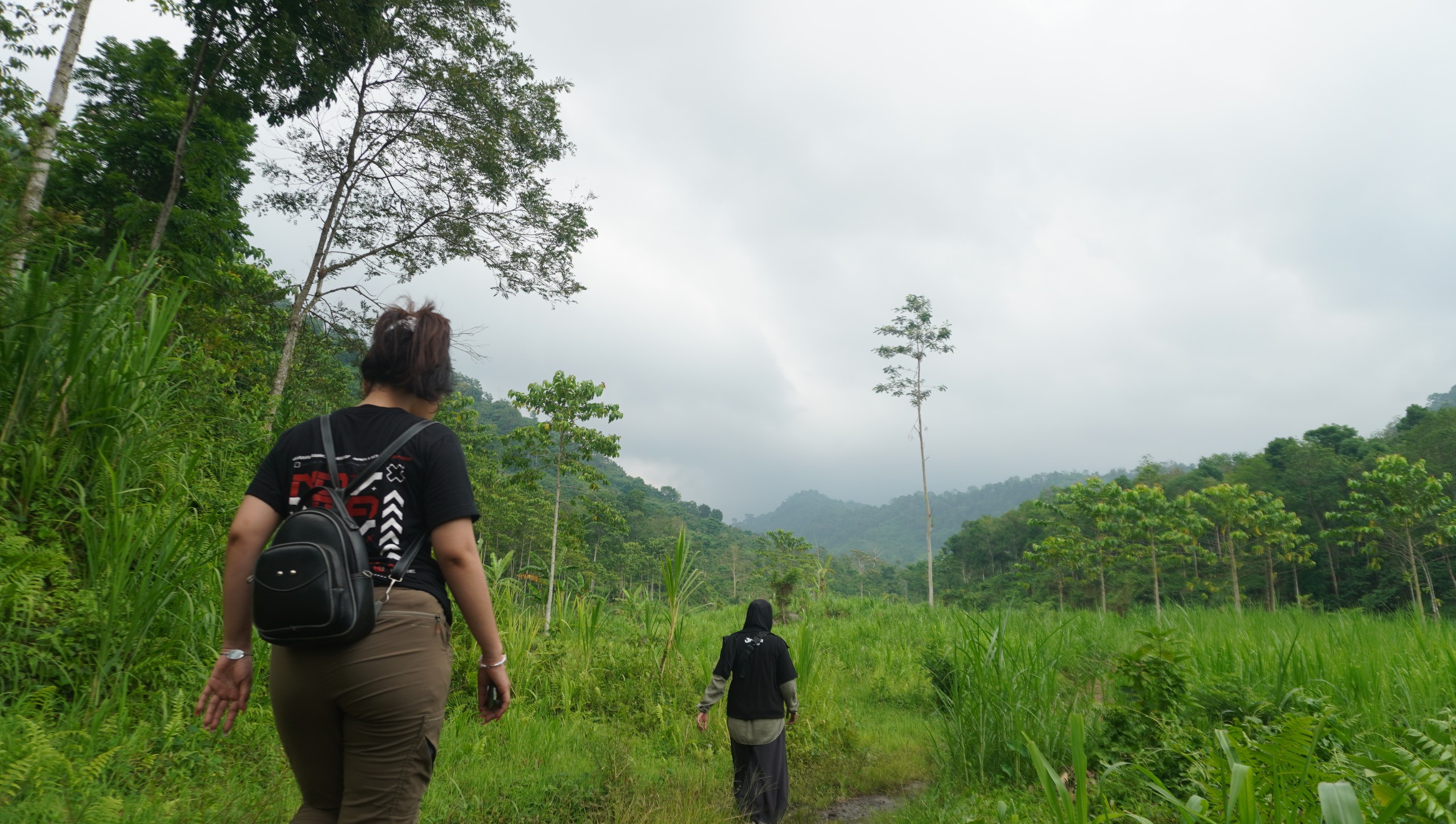 JELAJAH: Lereng kawasan Pegunungan Hyang Argopuro Kecamatan Panti, Jember. (YULIO FA/RADAR JEMBER)