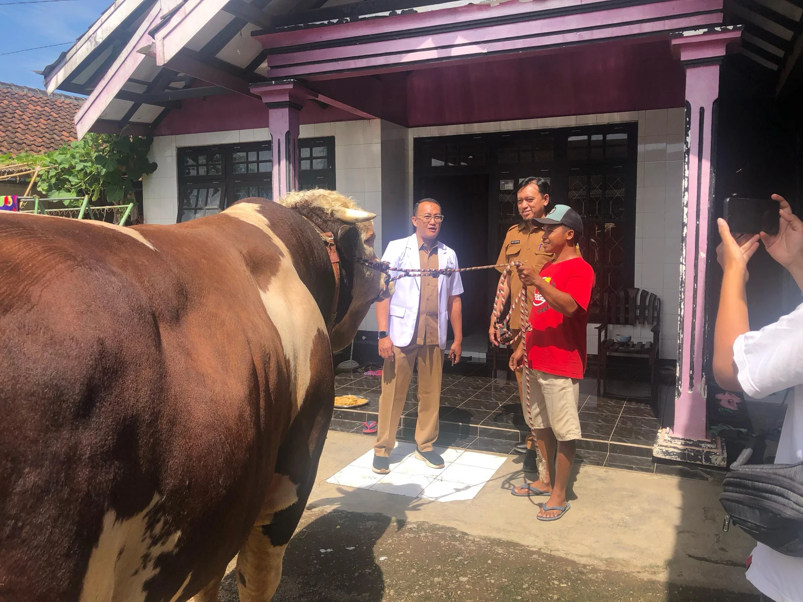DIPERIKSA: Disnakkan Bondowoso memeriksa sapi peliharaan Riyan, sebelum dibeli oleh Presiden RI Prabowo.