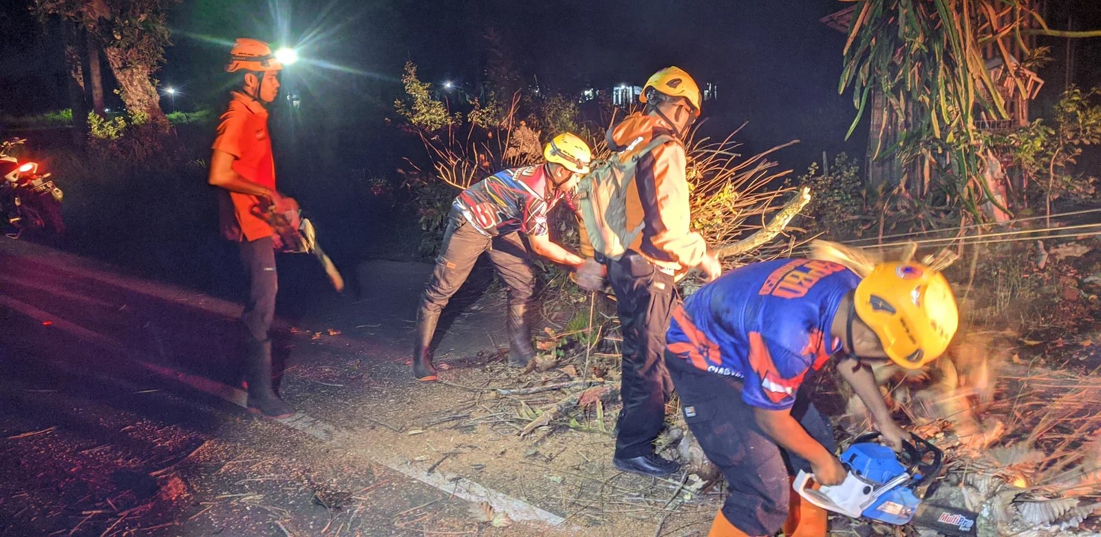 Petugas saat melakukan evakuasi pohon tumbang yang menimbulkan korban, kemarin (12/6)