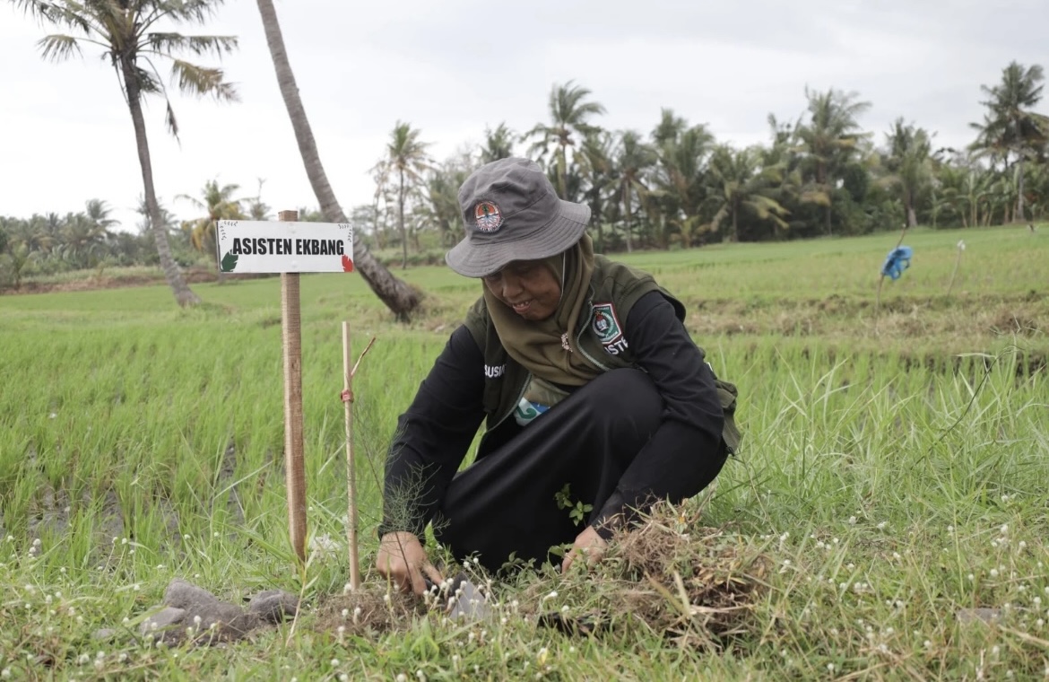 PELESTARIAN: Pemkab Lumajang mulai melakukan penanaman pohon di kawasan pantai Watu Pecak, Desa Selok Awar-awar, Kecamatan Pasirian, Lumajang. (ADE APRYANIS/RAME)