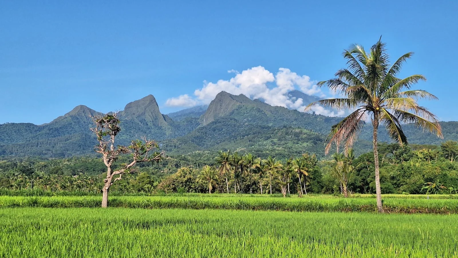 BERJAJAR: Gunung Piramid (tengah) diapit oleh Gunung Saeng dan Gunung Gul Gulan, tempat itu direncanakan dijadikan wisata minat khusus.