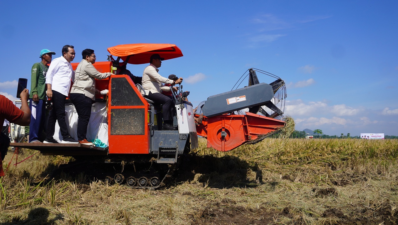 TANCAP GAS: Wamentan RI Sudaryono ditemani Bupati Fawait dan Anggota DPR, Kawendra Lukistian, mengemudikan mesin combine saat membuka panen raya di areal persawahan Dusun Langsatan, Desa Sukamakmur.
