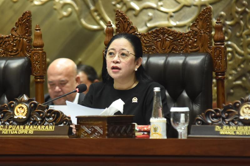 Ketua DPR RI Puan Maharani (Foto. DPR)