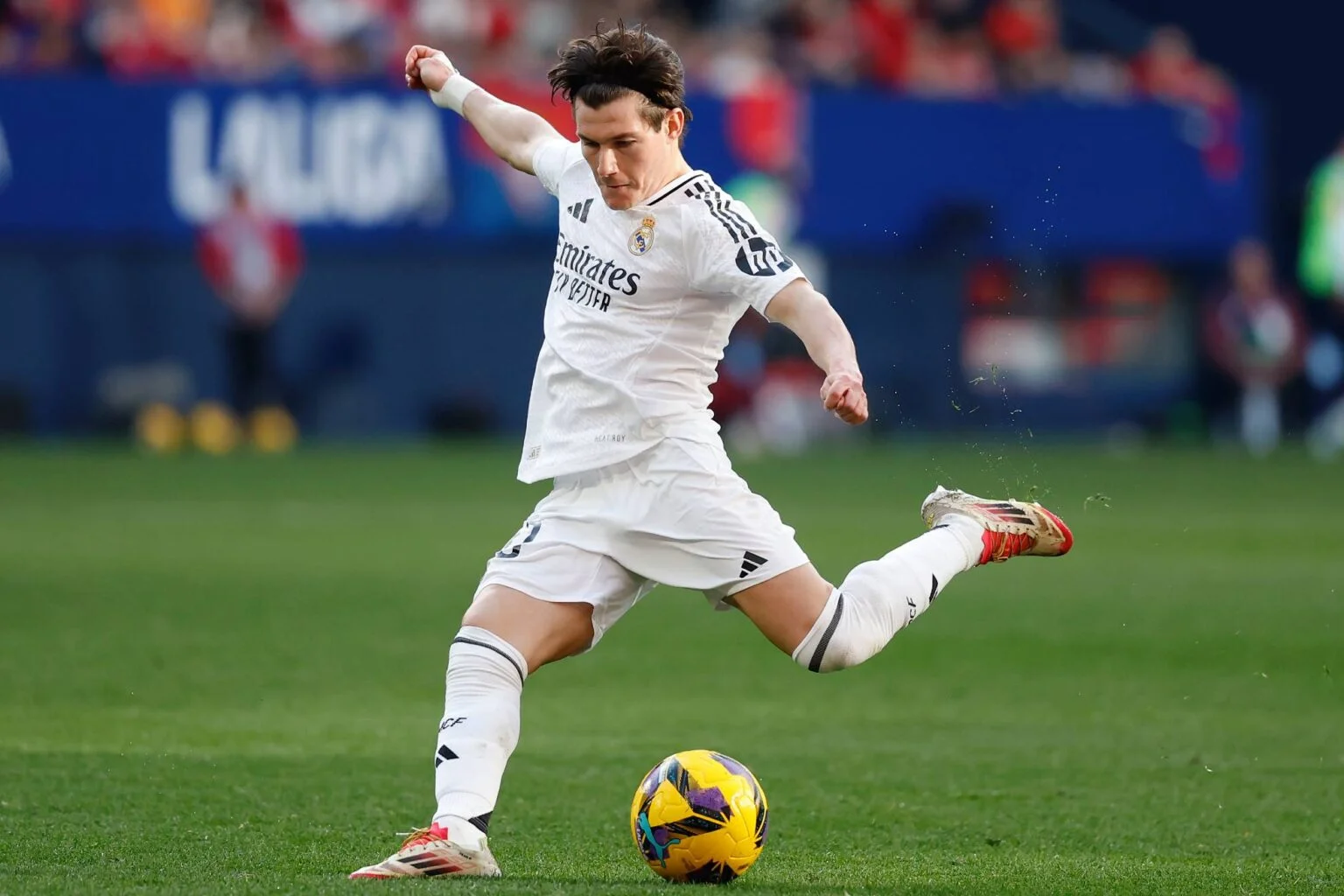 Fran Garcia