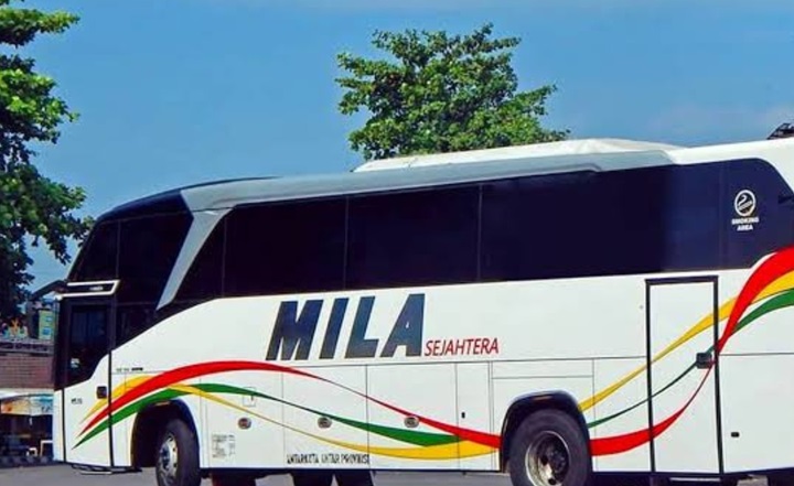 Bus Mila