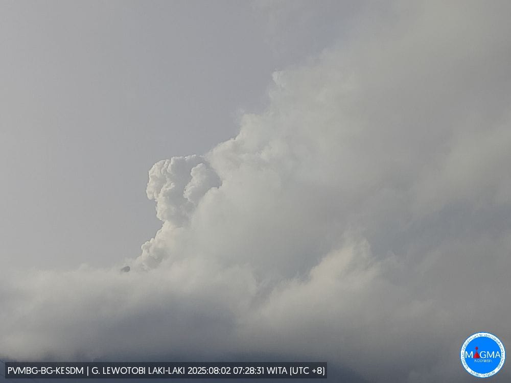 Aktivitas Gunung Lewotobi