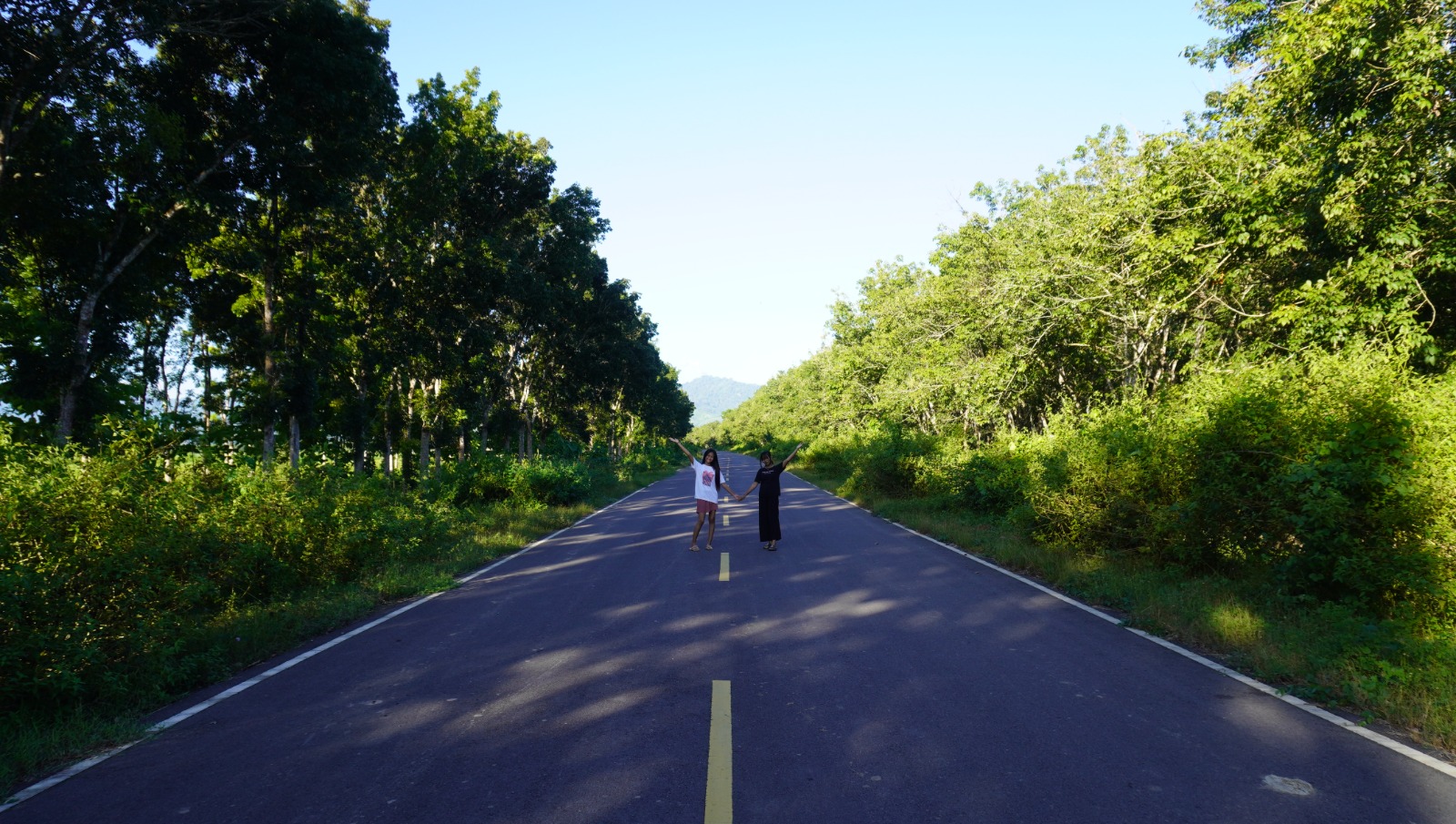 Salah satu pemandangan di JLS Pantai Selatan yang melewati Desa Curahnongko Kecamatan Tempurejo, Jember. (Maulana/Radar Jember)